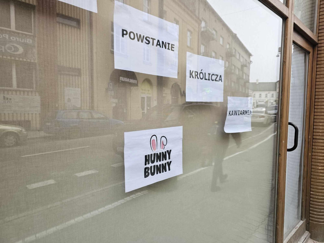 Królicza kawiarnia Hunny Bunny powstanie w Rzeszowie. Będzie limit wiekowy? 
