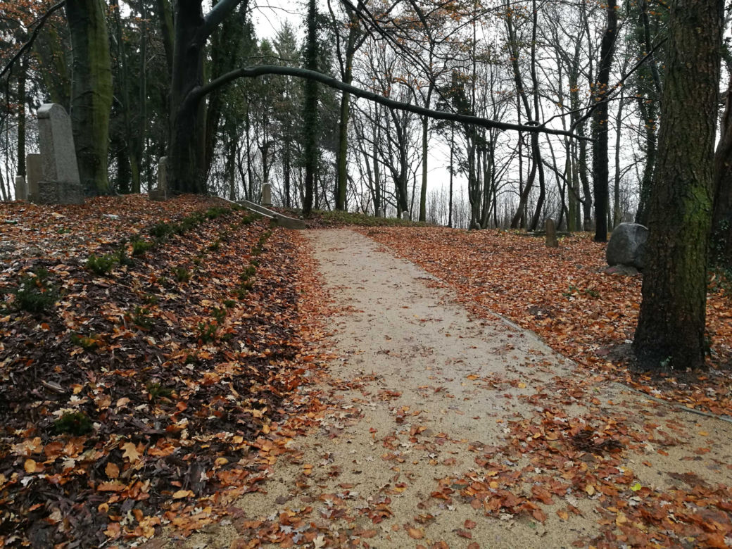 Nowy park w Szczecinie