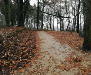 Nowy park w Szczecinie