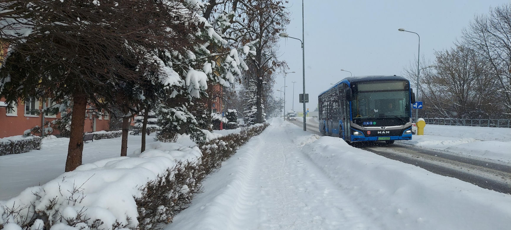 zima w Zamościu