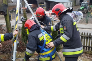Miał kotek szczęście