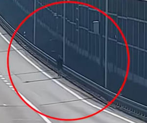 Biegacz na drodze ekspresowej S12 koło Świdnika. Świadkowie zawiadomili policję