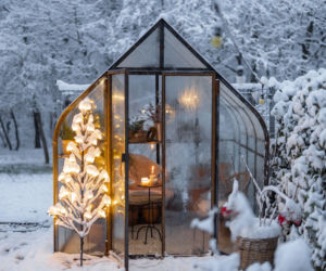 Nie zapomnij o ogrodzie w grudniu! Lista prac na ten miesiąc
