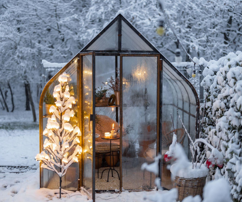 Nie zapomnij o ogrodzie w grudniu! Lista prac na ten miesiąc
