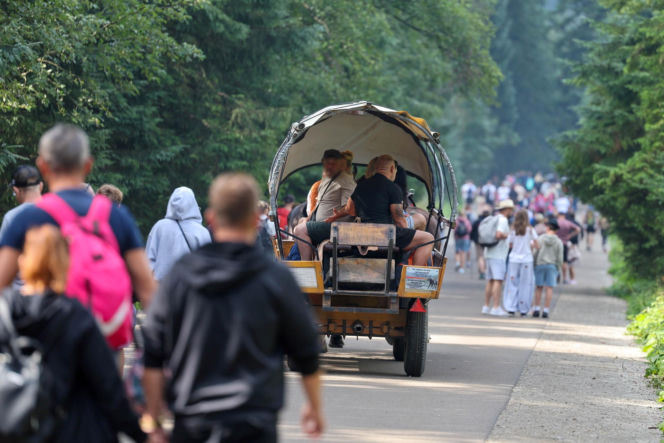 Protesty przeciwko konnemu transportowi nad Morskim Okiem