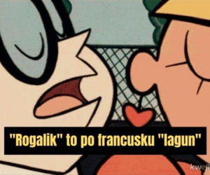 Krakowski lagun to prawdziwy FENOMEN! [MEMY]