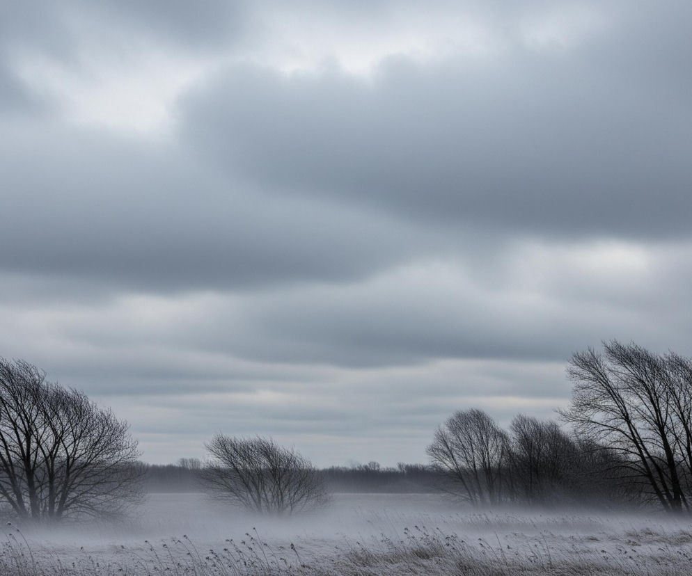 Krajobraz przedstawia zaśnieżone pole z kilkoma nagimi drzewami pod pochmurnym, szarym niebem. Na pierwszym planie widoczne są wysokie, suche trawy pokryte cienką warstwą śniegu lub szronu. Lewa strona pola jest zdominowana przez większe, rozłożyste drzewo o ciemnych, nagich gałęziach, które pochyla się w prawo, a u jego podstawy unosi się delikatna mgiełka. Dalej, wzdłuż horyzontu, ciągnie się rząd mniejszych, również nagich drzew i krzewów, które tworzą ciemną, rozmytą linię. Niebo jest całkowicie zachmurzone, z ciężkimi, szarymi chmurami, które wypełniają górną połowę kadru. Całość utrzymana jest w chłodnej, monochromatycznej palecie barw, głównie szarości i błękity.