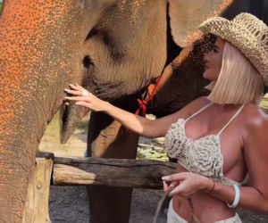 Gwiazdy witają nowy rok w bikini