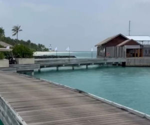 Małgorzata Rozenek i Radosław Majdan nurkują  Malediwach