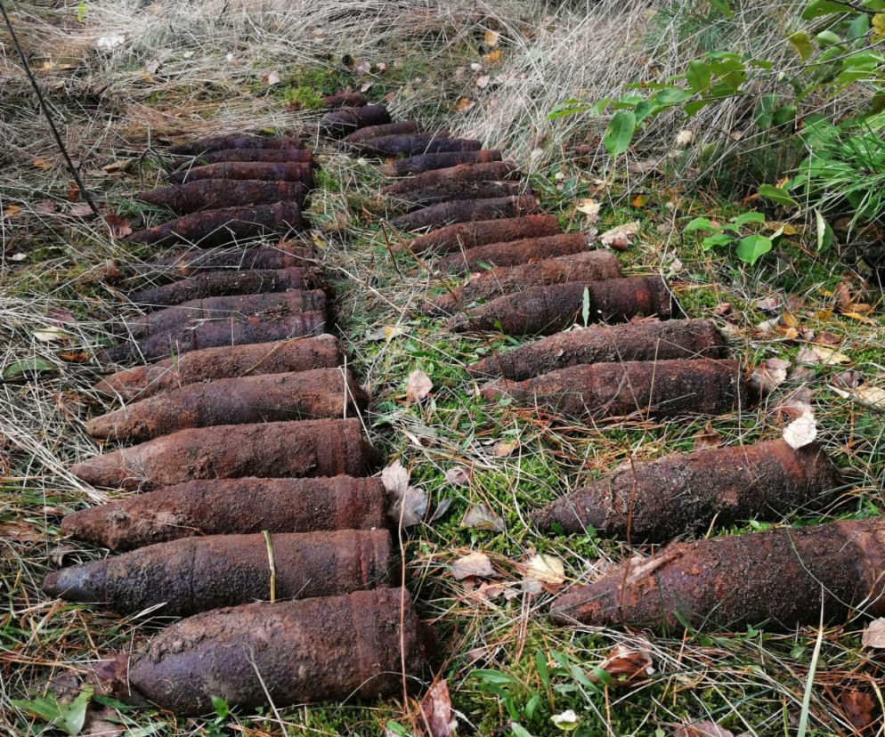 Niesamowite odkrycie w lesie pod Nidzicą