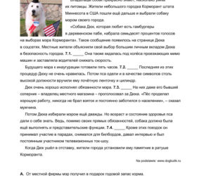 Matura 2026 ROSYJSKI podstawowy: Odpowiedzi do wszystkich zadań - sprawdź, czy zdałeś! 6.05.2026