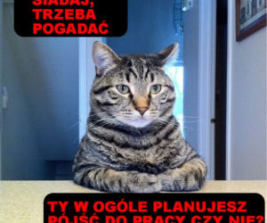 Memy o kwarantannie