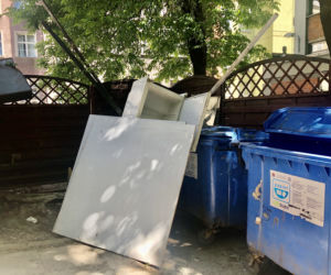 – Szczury to były wielkości mojego psa. Aż strach było podchodzić bliżej do pojemników – mówi jedna z mieszkanek kamienicy przy ul. Kaletniczej.   