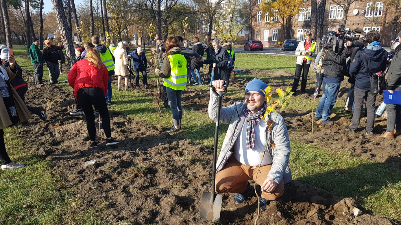 Sto drzew na 100. rocznicę odzyskania niepodległości w Toruniu