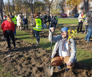 Sto drzew na 100. rocznicę odzyskania niepodległości w Toruniu