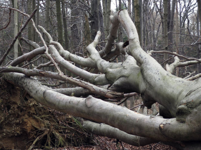 Rezerwat Segiet udostępni nowe szlaki dla mieszkańców