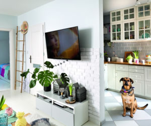 telewizor w salonie