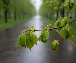 Pogoda na weekend w Gorzowie Wielkopolskim 24-26 kwietnia. Po ciepłej sobocie nadejdzie wyraźne ochłodzenie