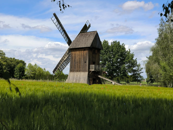 Skansen w Wolsztynie