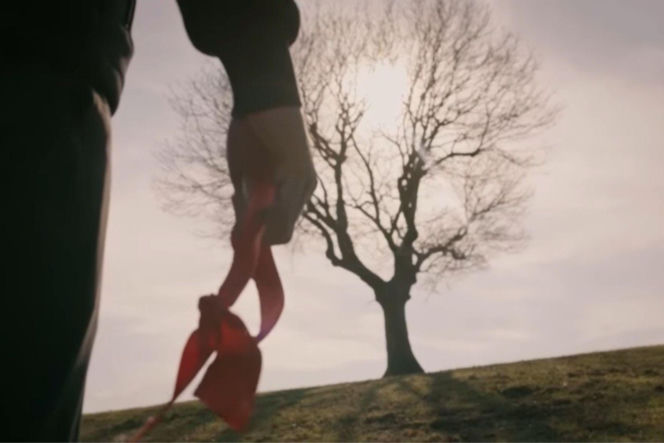 Wichrowe wzgórze, odcinki 374, 375