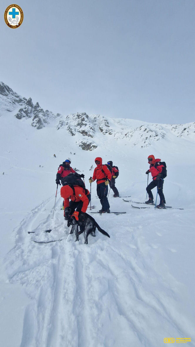 Poszukiwania turysty w Tatrach