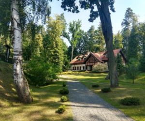 Leśne Arboretum w Kudypach. Jedno z piękniejszych miejsc na Warmii [ZDJĘCIA]