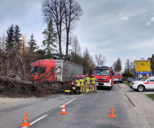 Nowy Sącz. Ciężarówka uderzyła w drzewo i zwaliła je na prywatną posesję. Jedna osoba poszkodowana