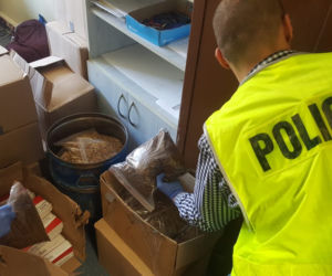Równoległa akcja policji w Toruniu i Pigży. Mieszkańcy wpadli w tarapaty