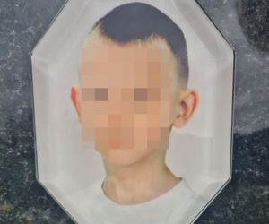 Grób Kamila. Rok temu zagryzł go pitbull [ZDJĘCIA]