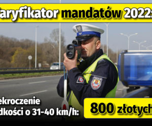 Taryfikator mandatów 2022 
