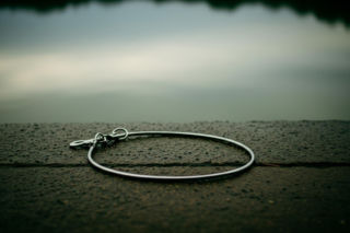 Owczarki podhalańskie zastrzelone. Właściciel ujawnił szokujący motyw?