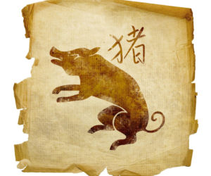 Nowy rok chiński - horoskop od znanej wróżki