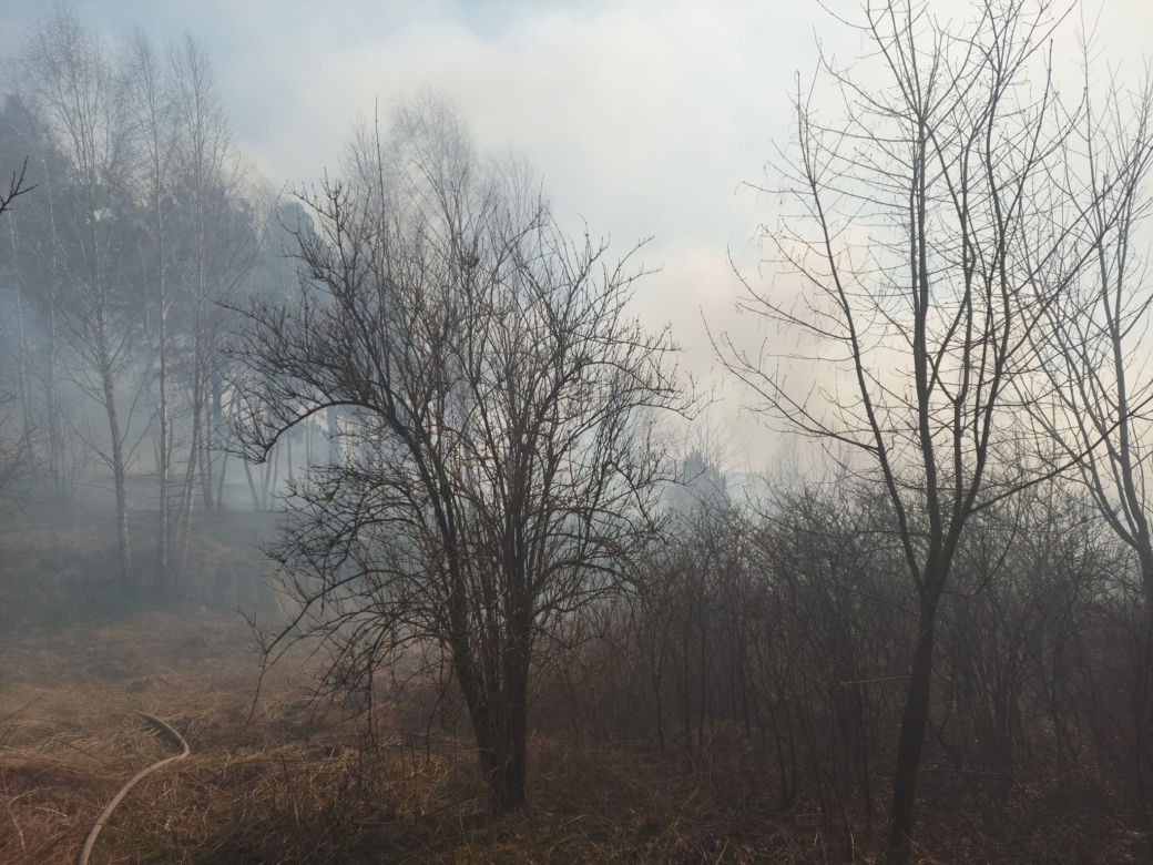 Płonie ponad 10 ha traw w Brodach! Na miejsce leci samolot gaśniczy