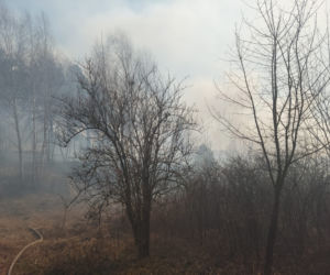 Płonie ponad 10 ha traw w Brodach! Na miejsce leci samolot gaśniczy