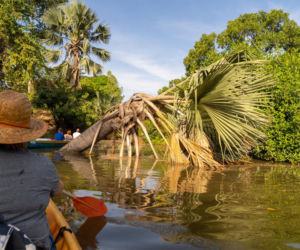 Gambia