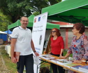 Wielki Piknik Aktywności i Pasji 