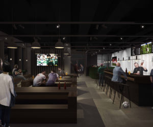Muzeum Śląska i pub na stadionie - wizualizacje  