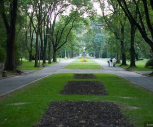 Park Skaryszewski