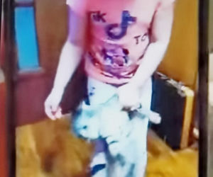 Białopole: 5-latka MALTRETUJE kota. Zachęcała ją opiekunka. Film trafił do sieci. HORROR!
