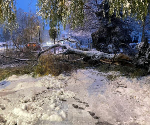 Podkarpacie pod śniegiem. Tysiące domów bez prądu, drogi sparaliżowane. Sprawdź, co dzieje się w regionie!