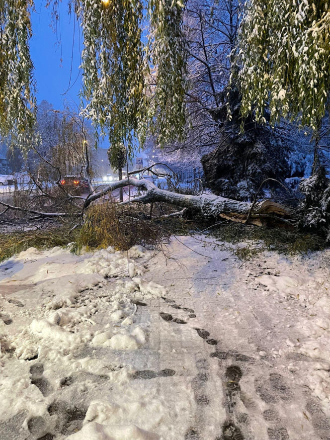 Podkarpacie pod śniegiem. Tysiące domów bez prądu, drogi sparaliżowane. Sprawdź, co dzieje się w regionie!