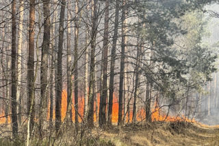 Gigantyczny pożar pod Warszawą. Płonie las. W akcji samolot gaśniczy. Strażacy lokalizują pożar