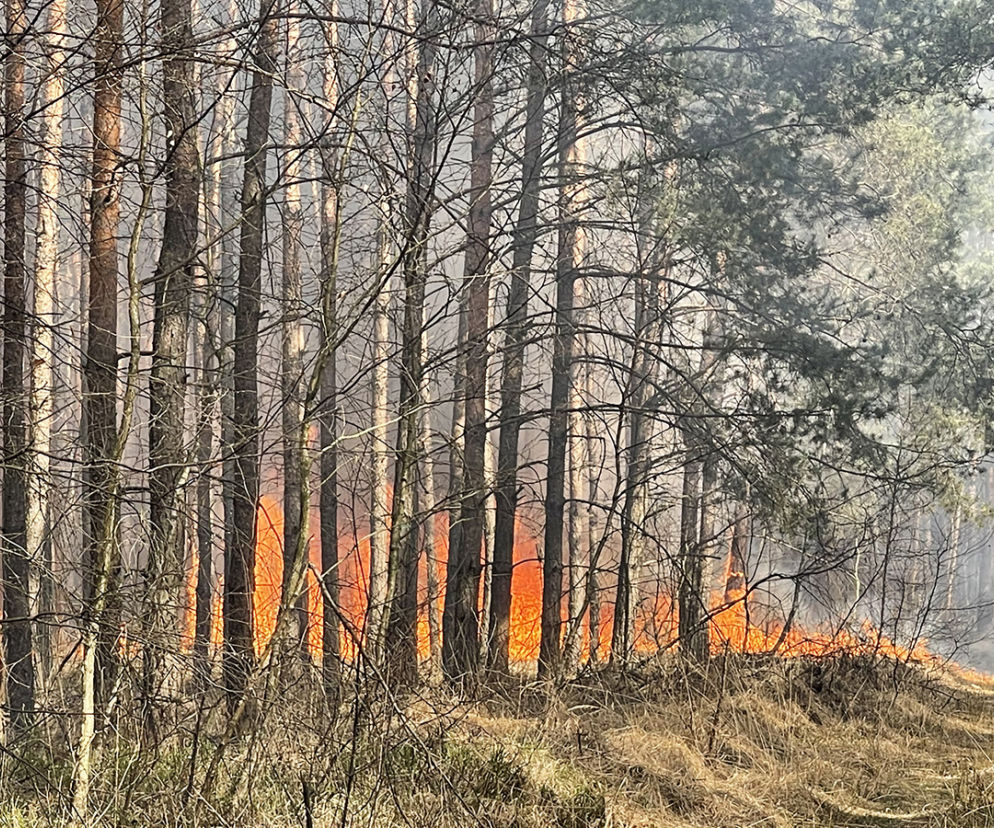  Wielki pożar pod Warszawą. Brakuje sił i środków