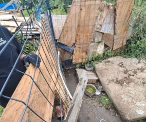 Trzymał zwierzęta w wychodku. W tym niewyobrażalnym smrodzie suczka ze szczeniakami miała zrobione legowisko