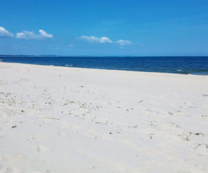 Rowerzyści kontra naturyści. Słynna naga plaża przestanie istnieć?