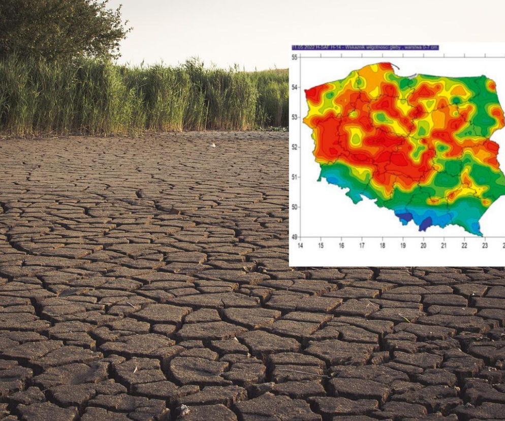 IMGW ostrzega przed suszą hydrologiczną w czterech województwach