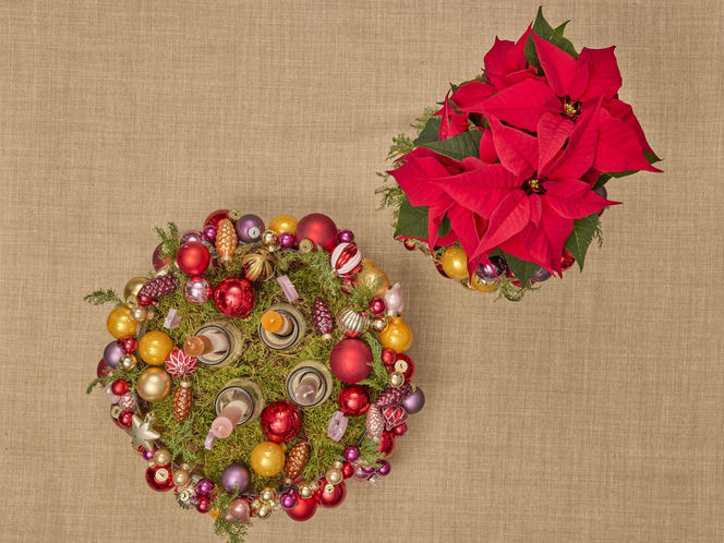 Adwentowa aranżacja z gwiazdą betlejemską