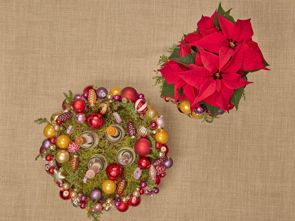 Adwentowa aranżacja z gwiazdą betlejemską