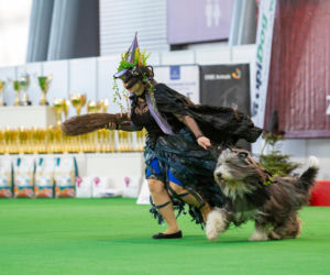 Duo Cacib Kielce - Międzynarodowa Wystawa Psów Rasowych w Targach Kielce