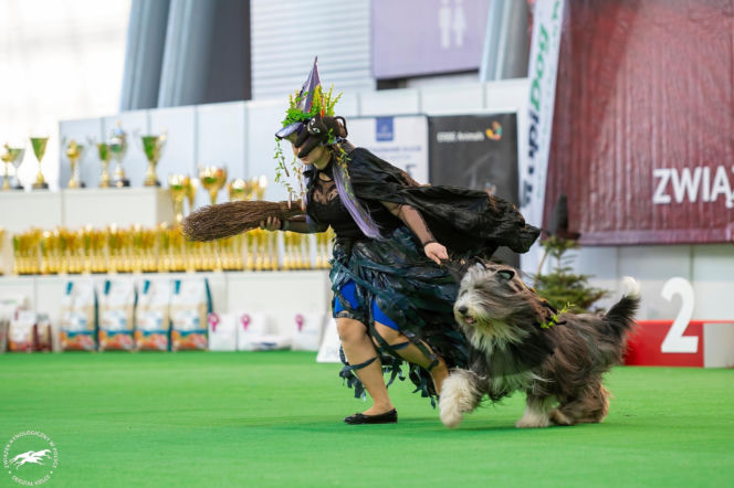 Duo Cacib Kielce - Międzynarodowa Wystawa Psów Rasowych w Targach Kielce